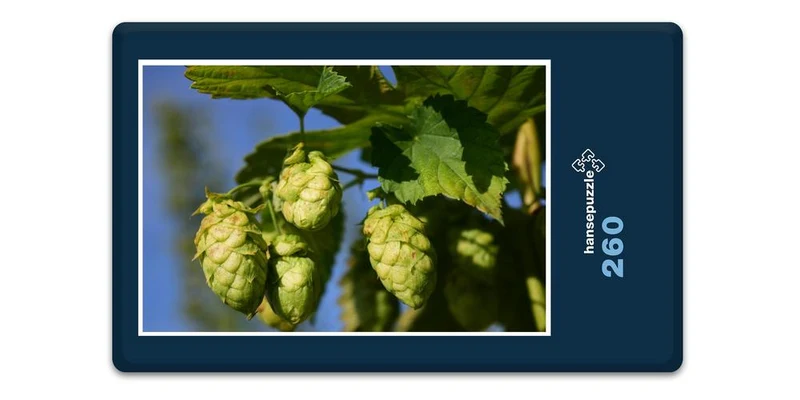 17462 Natur - Hopfen Puzzle