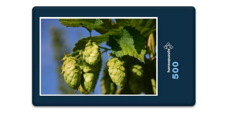 17462 Natur - Hopfen Puzzle