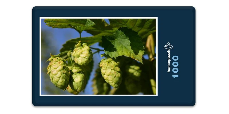 17462 Natur - Hopfen Puzzle