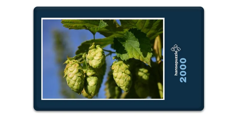 17462 Natur - Hopfen Puzzle