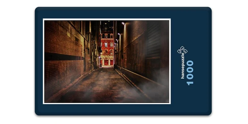 17463 Orte - Toronto Puzzle
