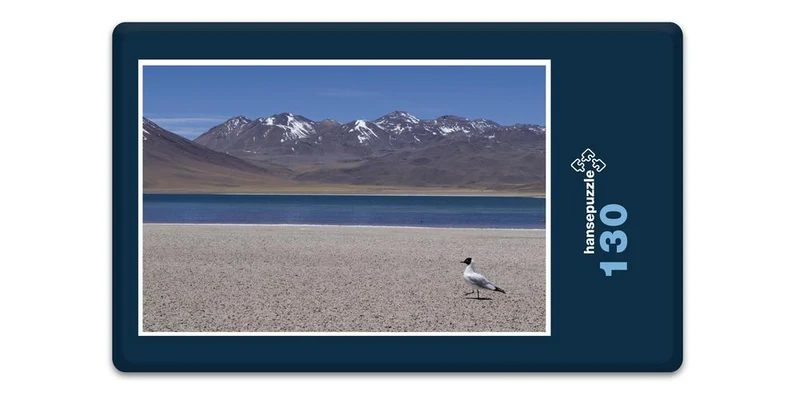 17470 Reisen - Chile Puzzle