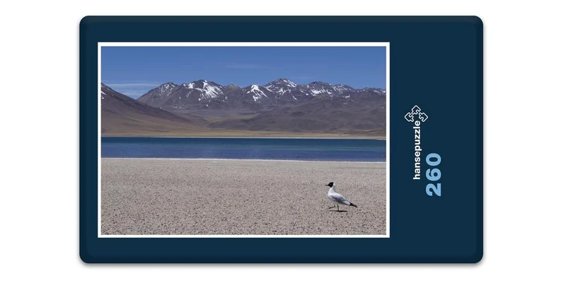 17470 Reisen - Chile Puzzle