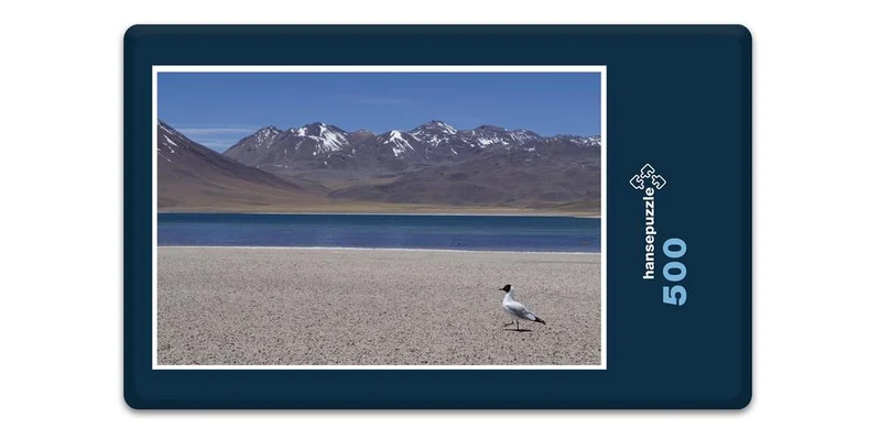 17470 Reisen - Chile Puzzle
