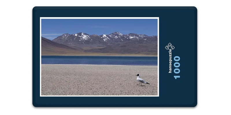 17470 Reisen - Chile Puzzle