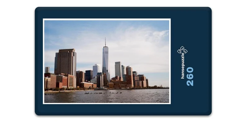 19366 Orte - Manhattan Puzzle