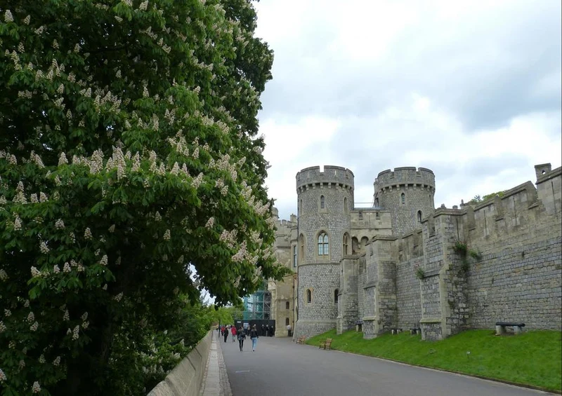 22873 Reisen - Windsor Castle Puzzle