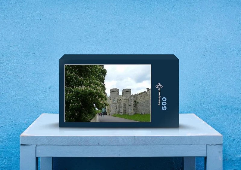 22873 Reisen - Windsor Castle Puzzle