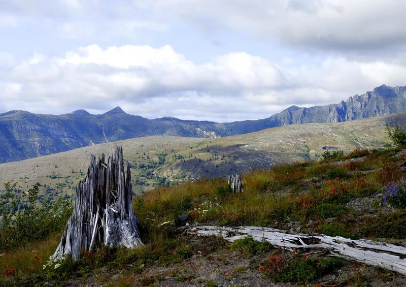17481 Natur - Mount St Helens Puzzle