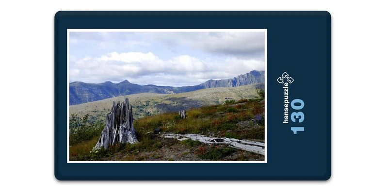 17481 Natur - Mount St Helens Puzzle