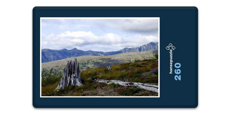 17481 Natur - Mount St Helens Puzzle