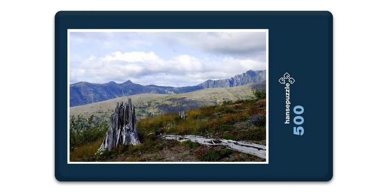 17481 Natur - Mount St Helens Puzzle