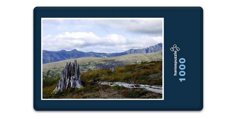 17481 Natur - Mount St Helens Puzzle