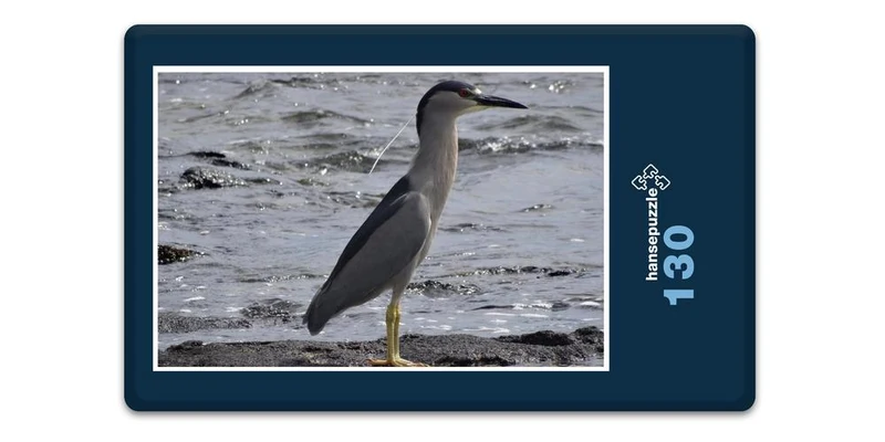 17416 Tierwelt - Auku - Vogel Puzzle