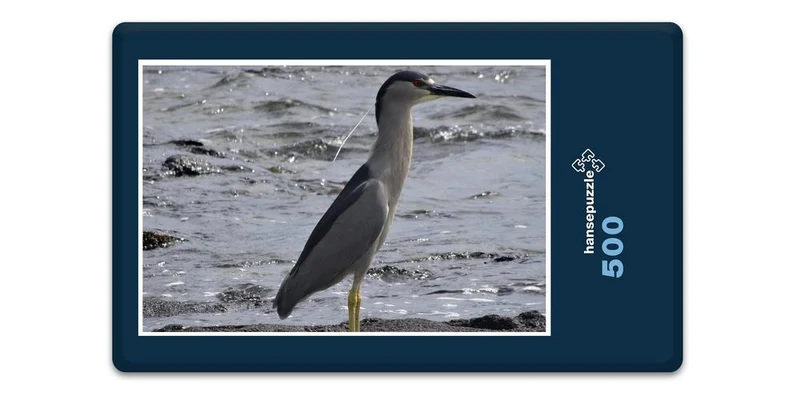 17416 Tierwelt - Auku - Vogel Puzzle