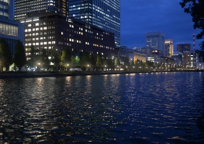 17489 Orte - Tokyo bei Nacht Puzzle