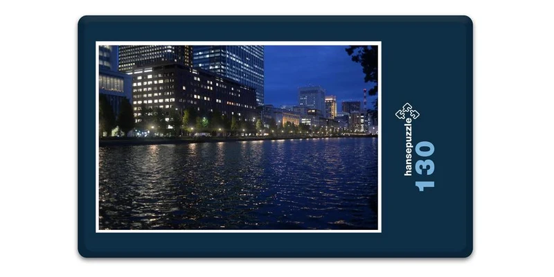17489 Orte - Tokyo bei Nacht Puzzle