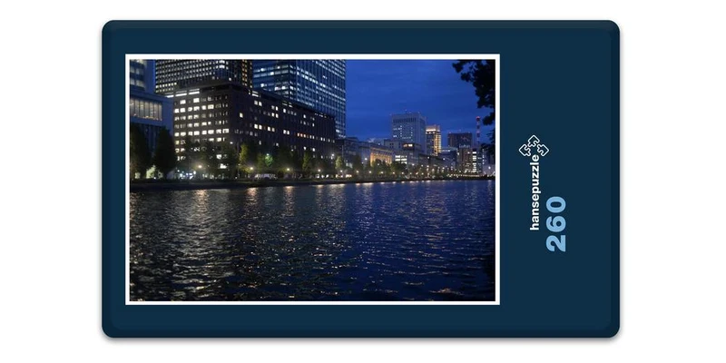 17489 Orte - Tokyo bei Nacht Puzzle