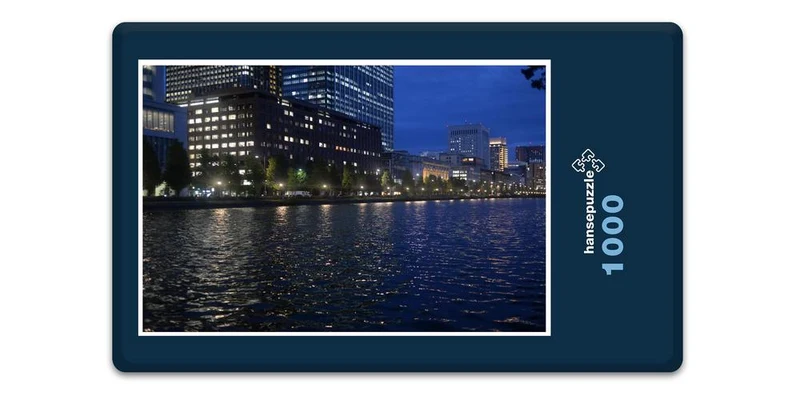17489 Orte - Tokyo bei Nacht Puzzle