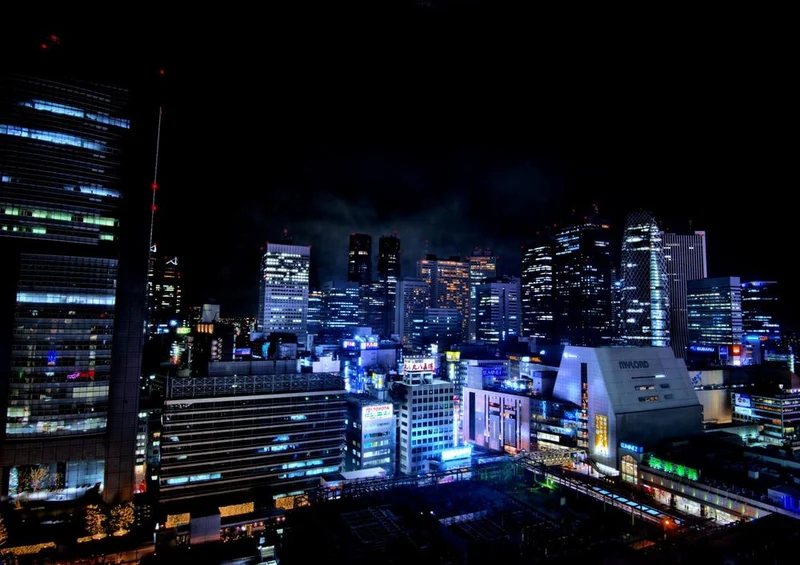 17490 Orte - Tokyo Skyline Puzzle