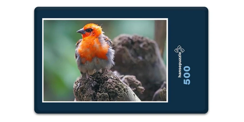 17491 Tierwelt - Webervogel Puzzle