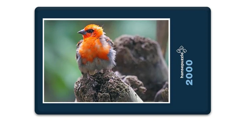 17491 Tierwelt - Webervogel Puzzle