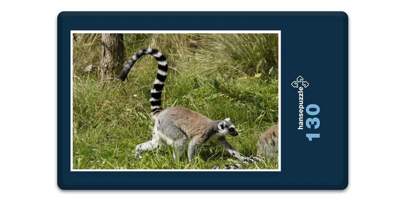 17492 Tierwelt - Katta Puzzle