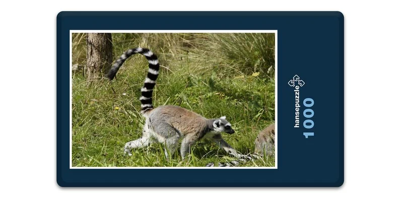17492 Tierwelt - Katta Puzzle