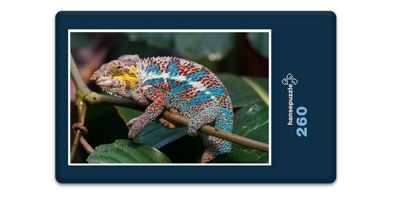 17493 Tierwelt - Chamäleon Puzzle