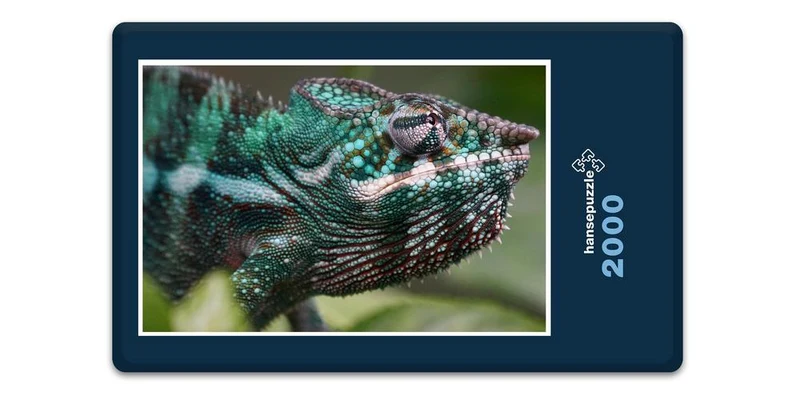 17494 Tierwelt - Chamäleon Puzzle
