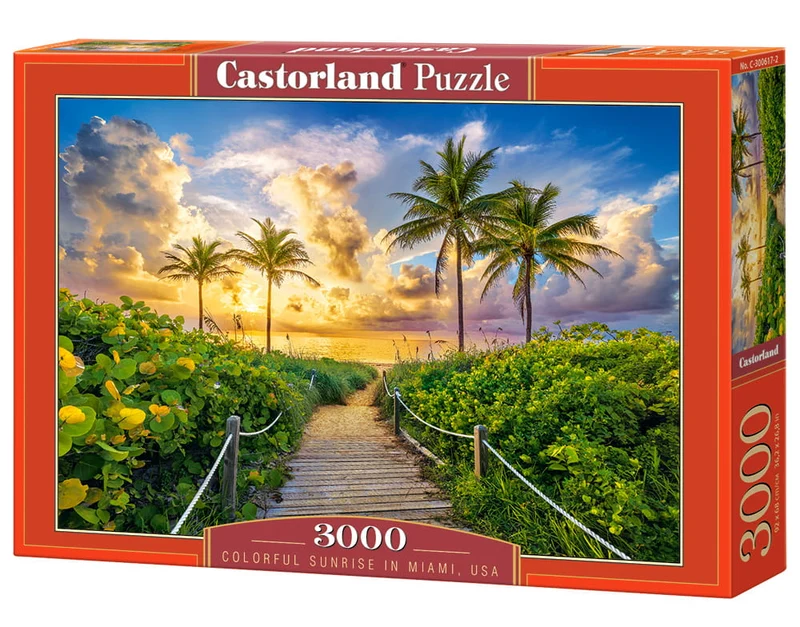 Colorful Sunrise in Miami, USA (3000pcs)