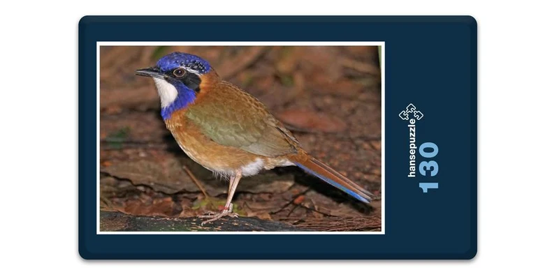 17495 Tierwelt - Racken-Vogel Puzzle