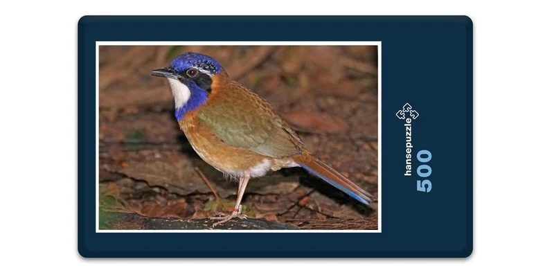 17495 Tierwelt - Racken-Vogel Puzzle