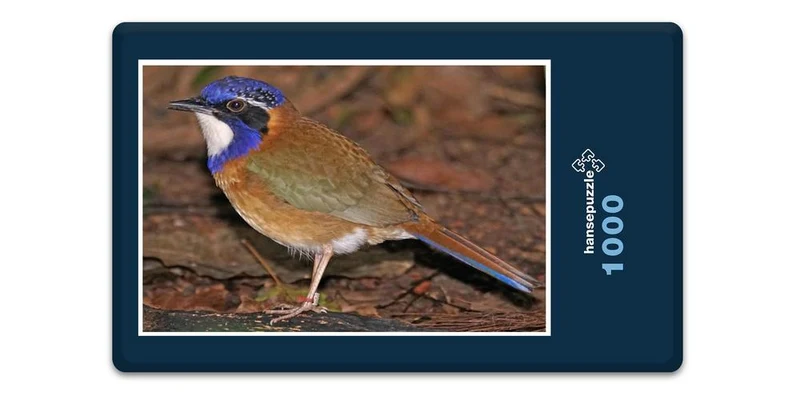 17495 Tierwelt - Racken-Vogel Puzzle