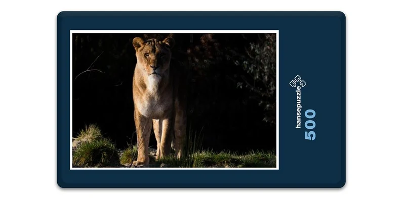 17548 Natur - Löwe Puzzle