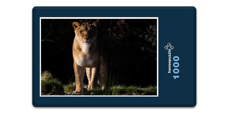 17548 Natur - Löwe Puzzle