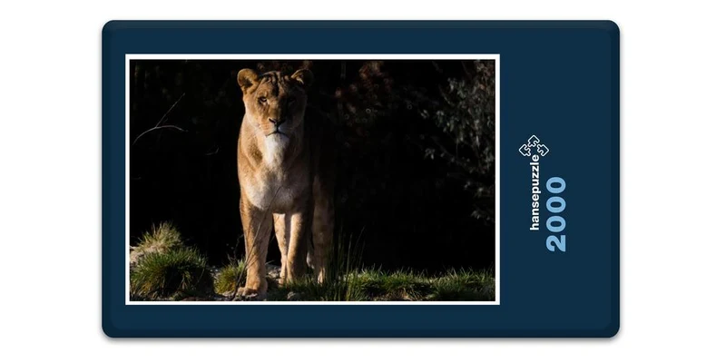 17548 Natur - Löwe Puzzle