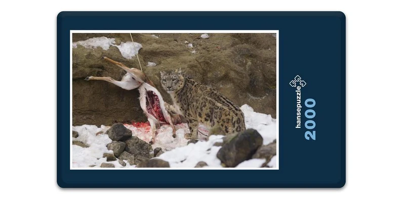 17552 Tierwelt - Schnee-Leopard Puzzle