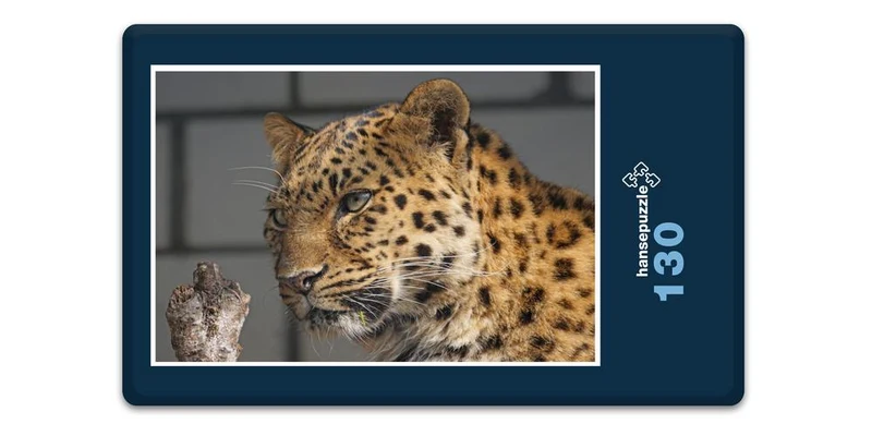 17553 Tierwelt - Leopard Puzzle