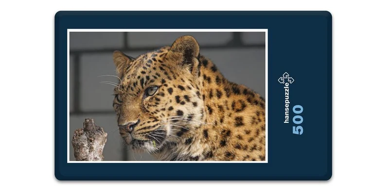 17553 Tierwelt - Leopard Puzzle
