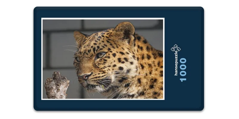17553 Tierwelt - Leopard Puzzle