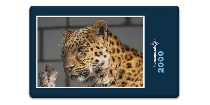 17553 Tierwelt - Leopard Puzzle