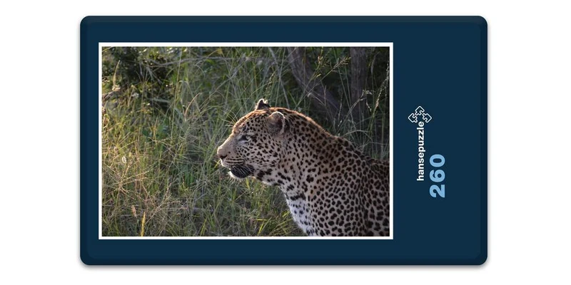 17554 Tierwelt - Leopard Puzzle
