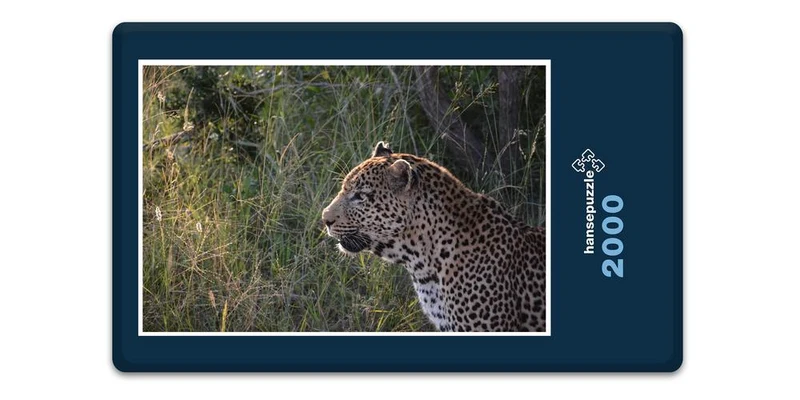 17554 Tierwelt - Leopard Puzzle