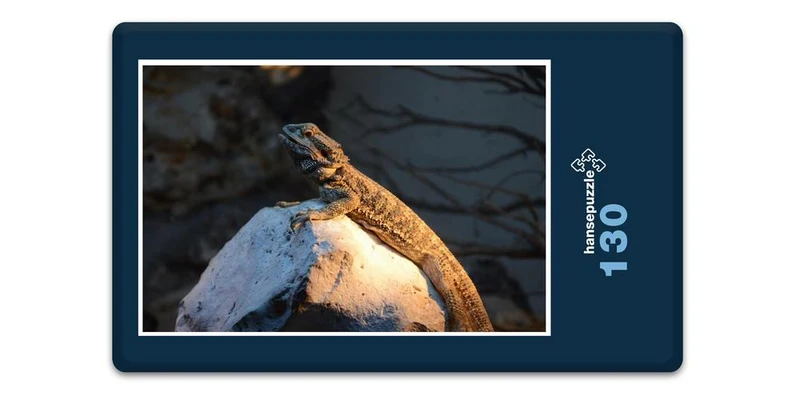 17511 Tierwelt - Platz an der Sonne Puzzle