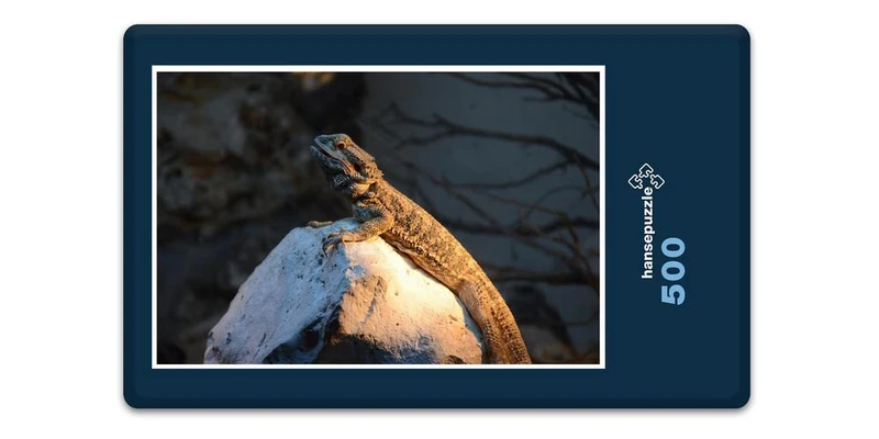 17511 Tierwelt - Platz an der Sonne Puzzle