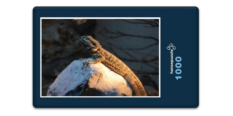 17511 Tierwelt - Platz an der Sonne Puzzle