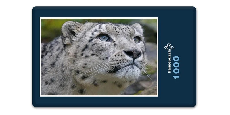 17555 Tierwelt - Schnee-Leopard Puzzle