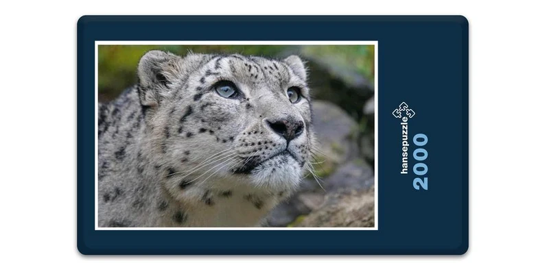 17555 Tierwelt - Schnee-Leopard Puzzle