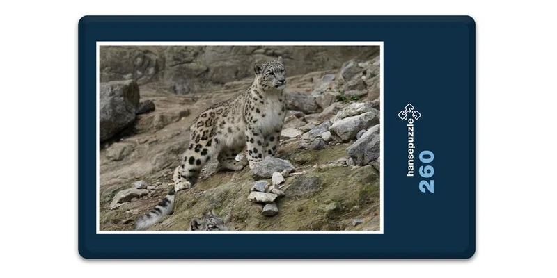 17556 Tierwelt - Schnee-Leopard Puzzle